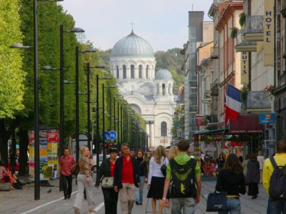 Modern Flat In Old Town Kaunas - Free Parking & Self Check-In Екстериор снимка